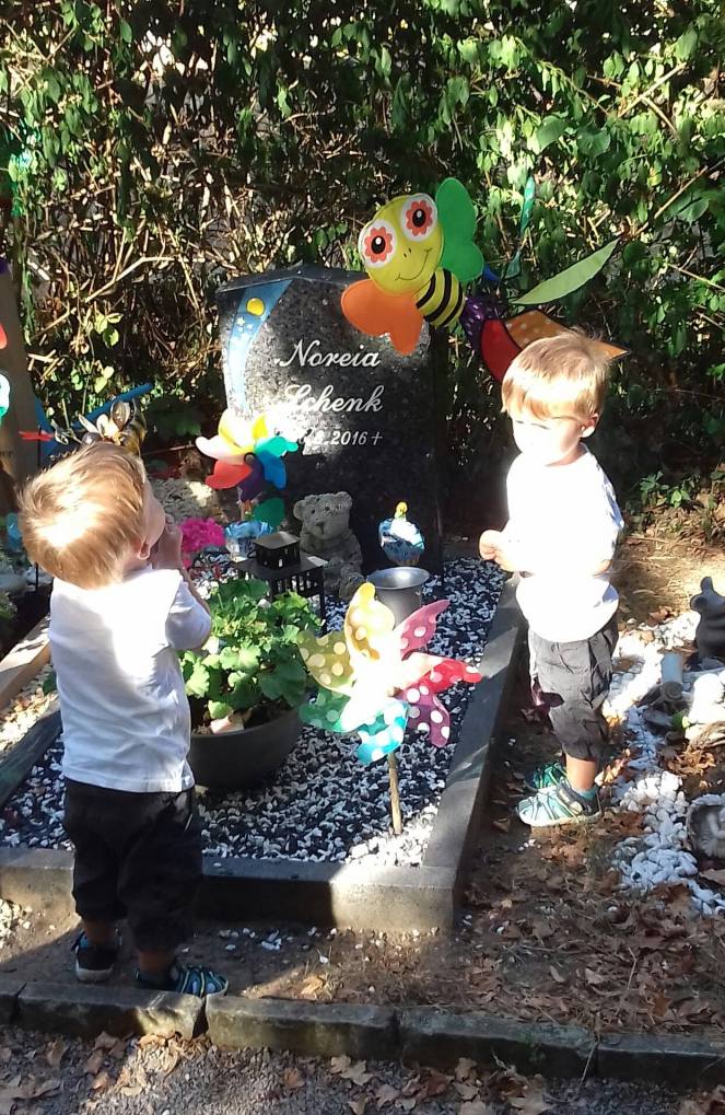 42476161_337107460168129_2535258936437637120_n