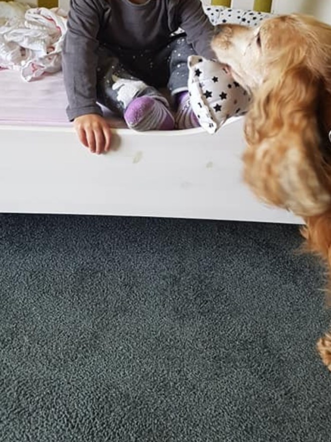 Design ohne Titel (3).jpg