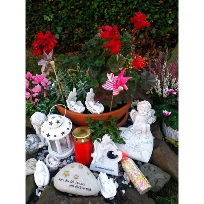 45544021_2543073092401864_2004406248576909312_n