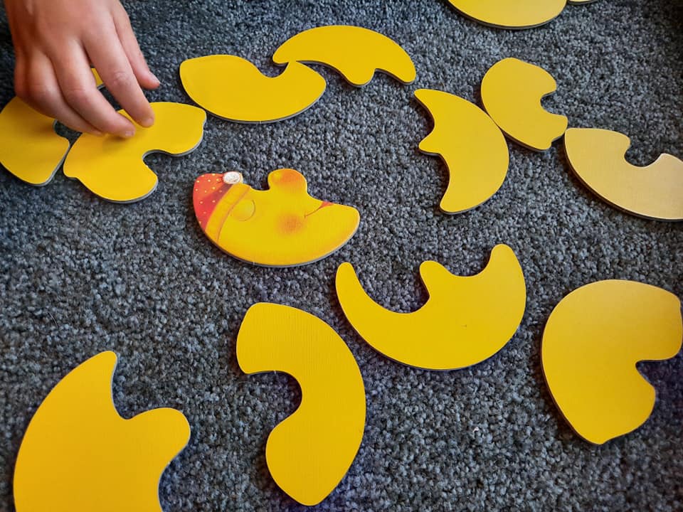 129164679_4986043554771460_2320101814989846131_n